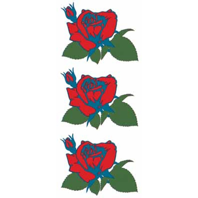 �^�g�D�[�V�[���@���K�N