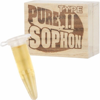 �s���A�\�t�H���@�s�x�o�d�Q�@�i�R�{����j