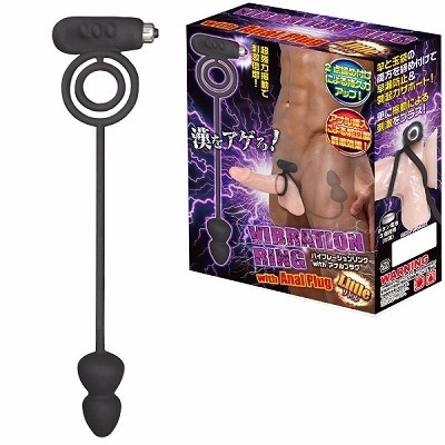 �o�C�u���[�V���������O�@���������@�A�i���v���O�@�i���g���j