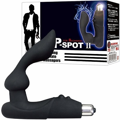 ���̂o�|�r�o�n�s�@�i�Q�j�@�r�M�i�[