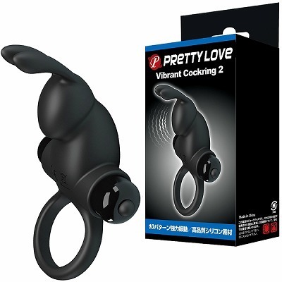 �v���e�B���u�@�i�o�C�u�����g�R�b�N�����O�@�Q�j