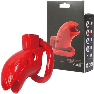 �`�F�X�e�e�B�P�[�W�@�i���b�h�j