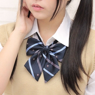 �X�N�[�����{���P�i�@���