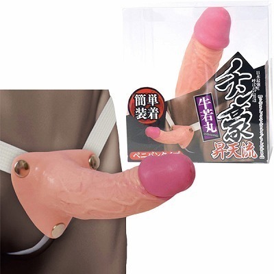 �`�����@�i���V���y�j�o���^�C�v�j�@�����